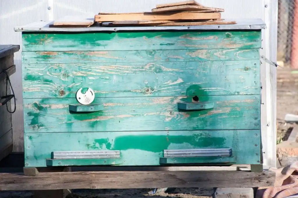A weathered green beehive with a circular entrance on a wooden bench.