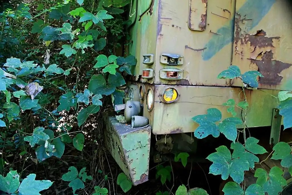 An old, rusted vehicle overgrown with foliage in a forest setting.