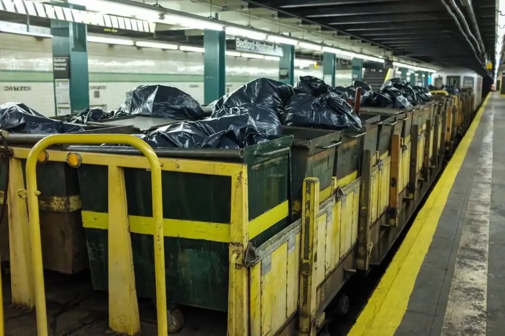 Dumpster Diving in the New York [2024] A Comprehensive Guide