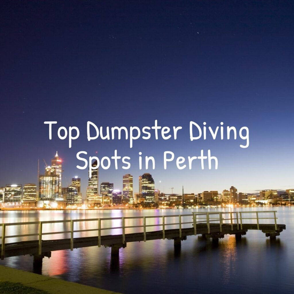 Best Locations for Dumpster Diving in Perth