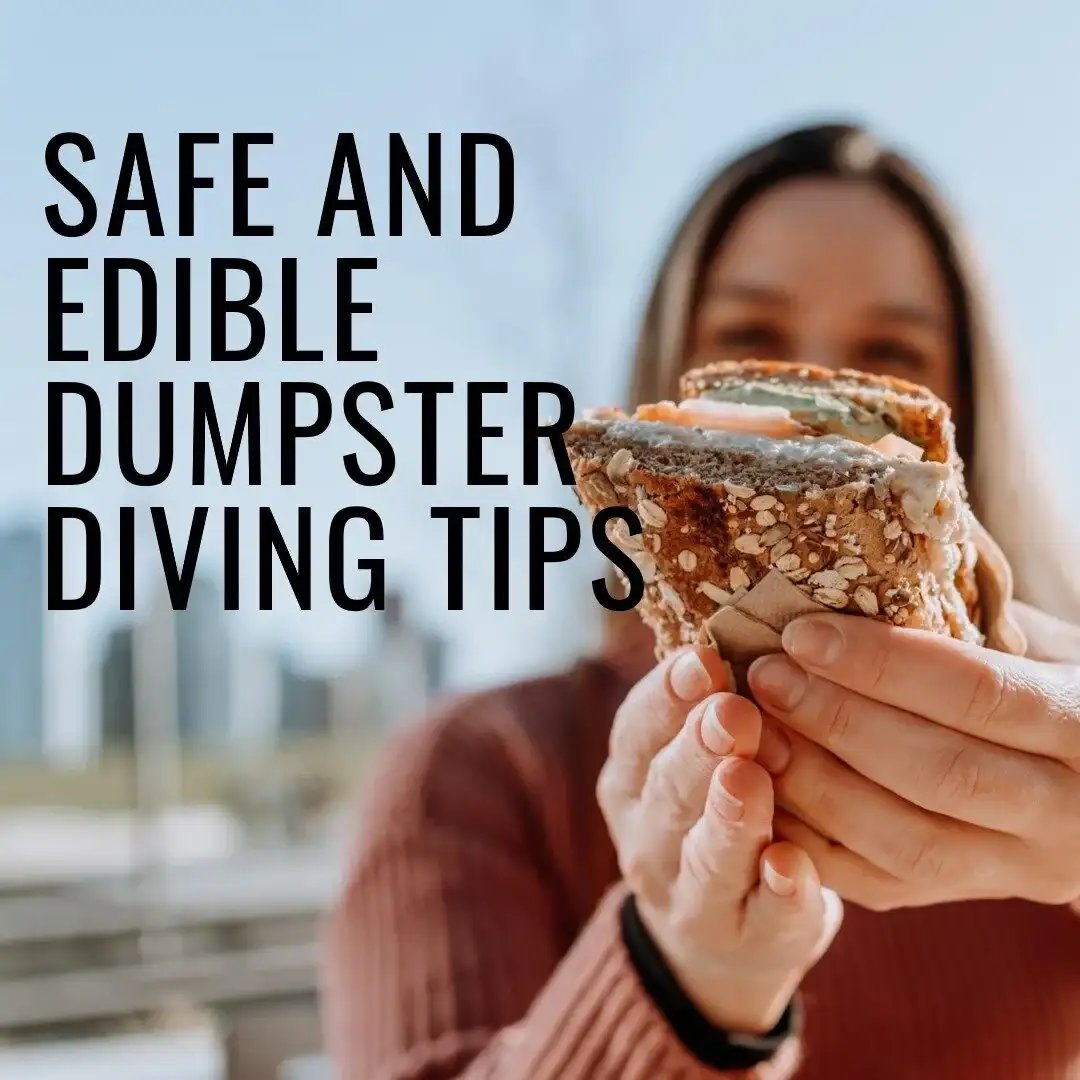 Person holding a sandwich with text "Safe and Edible Dumpster Diving Tips".