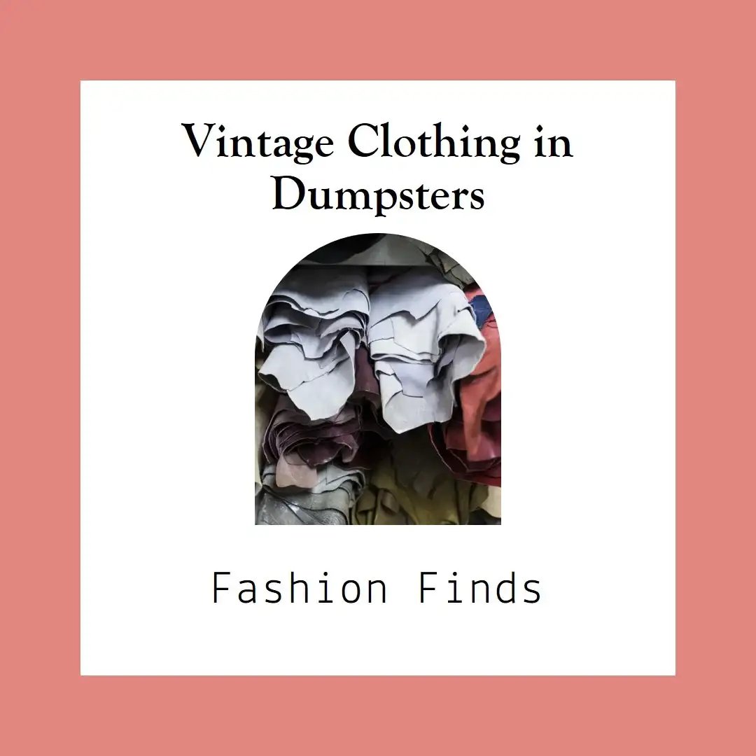 Graphic of assorted vintage clothing with text "Vintage Clothing in Dumpsters - Fashion Finds" on a peach background.