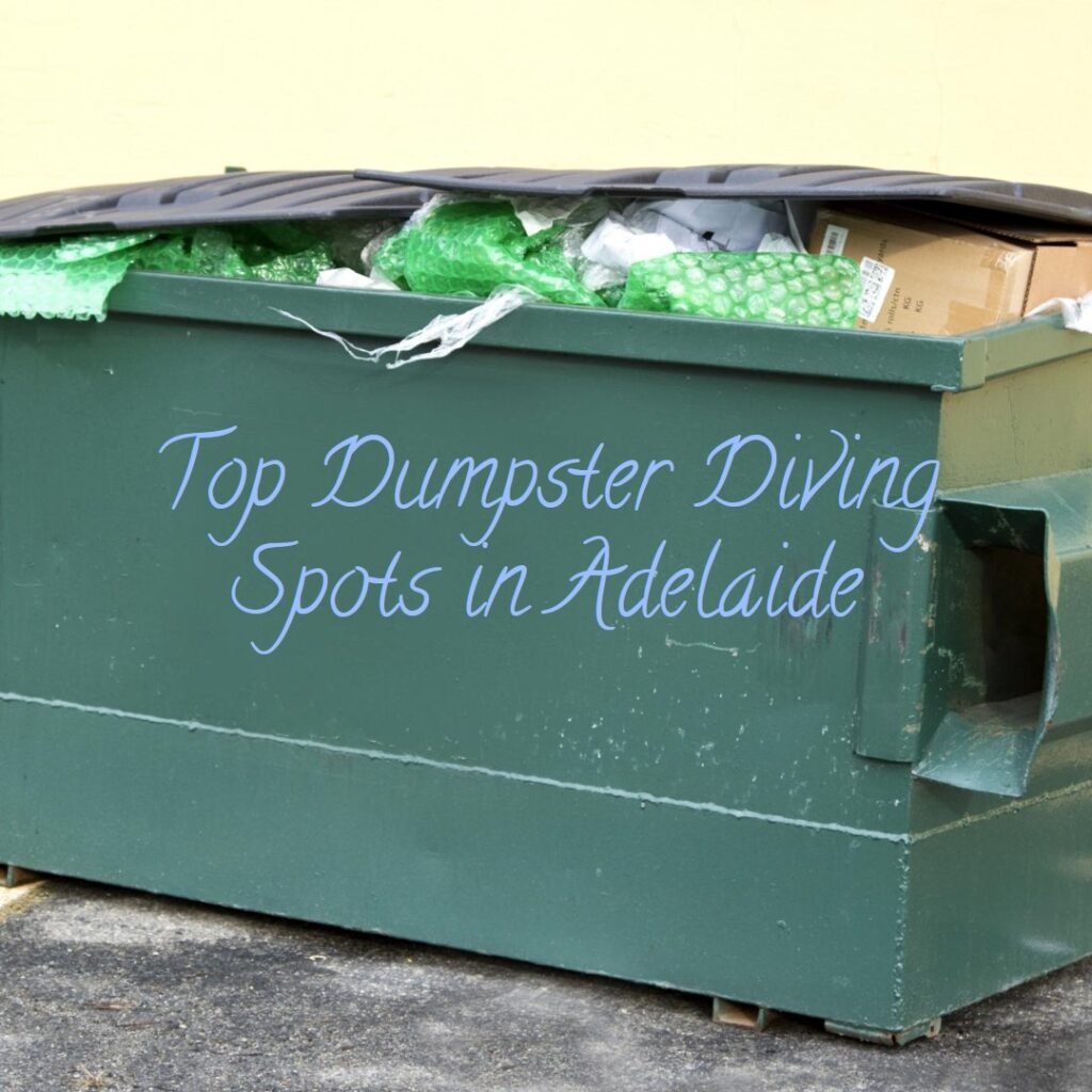 Best Spots for Dumpster Diving in Adelaide